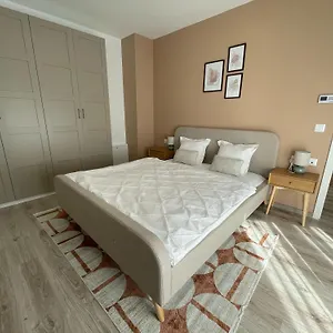 Mt بودابست